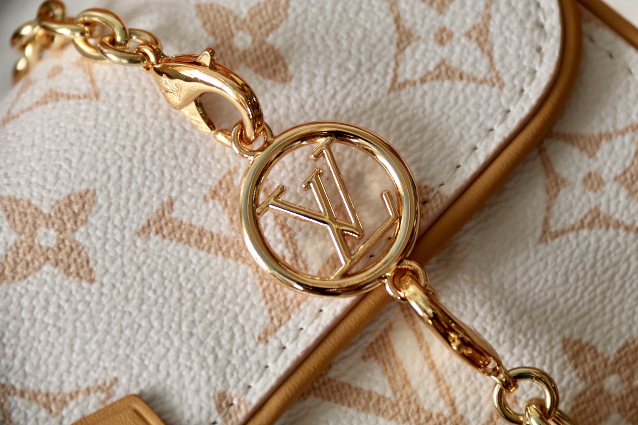 Louis Vuitton תיק צדדי דגם Pochette Camille, בד קנבס Monogram Dune 6 i1752822297108 7581 0 4