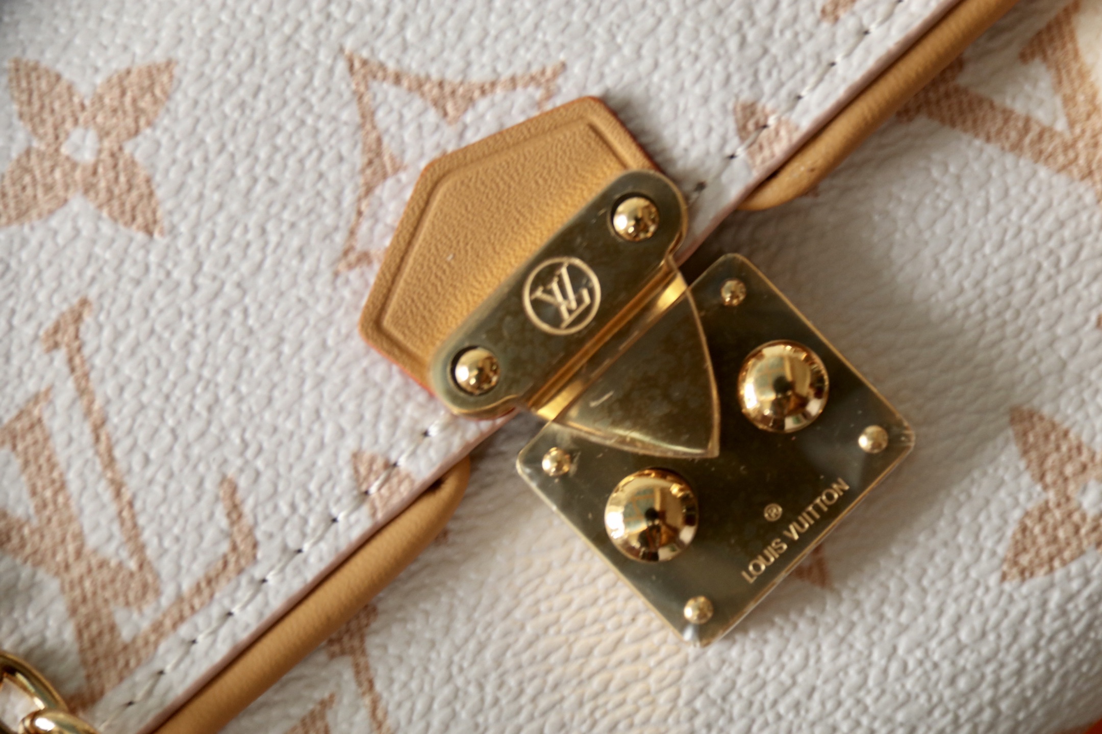 Louis Vuitton תיק צדדי דגם Pochette Camille, בד קנבס Monogram Dune 5 i1752822297208 5338 0 3