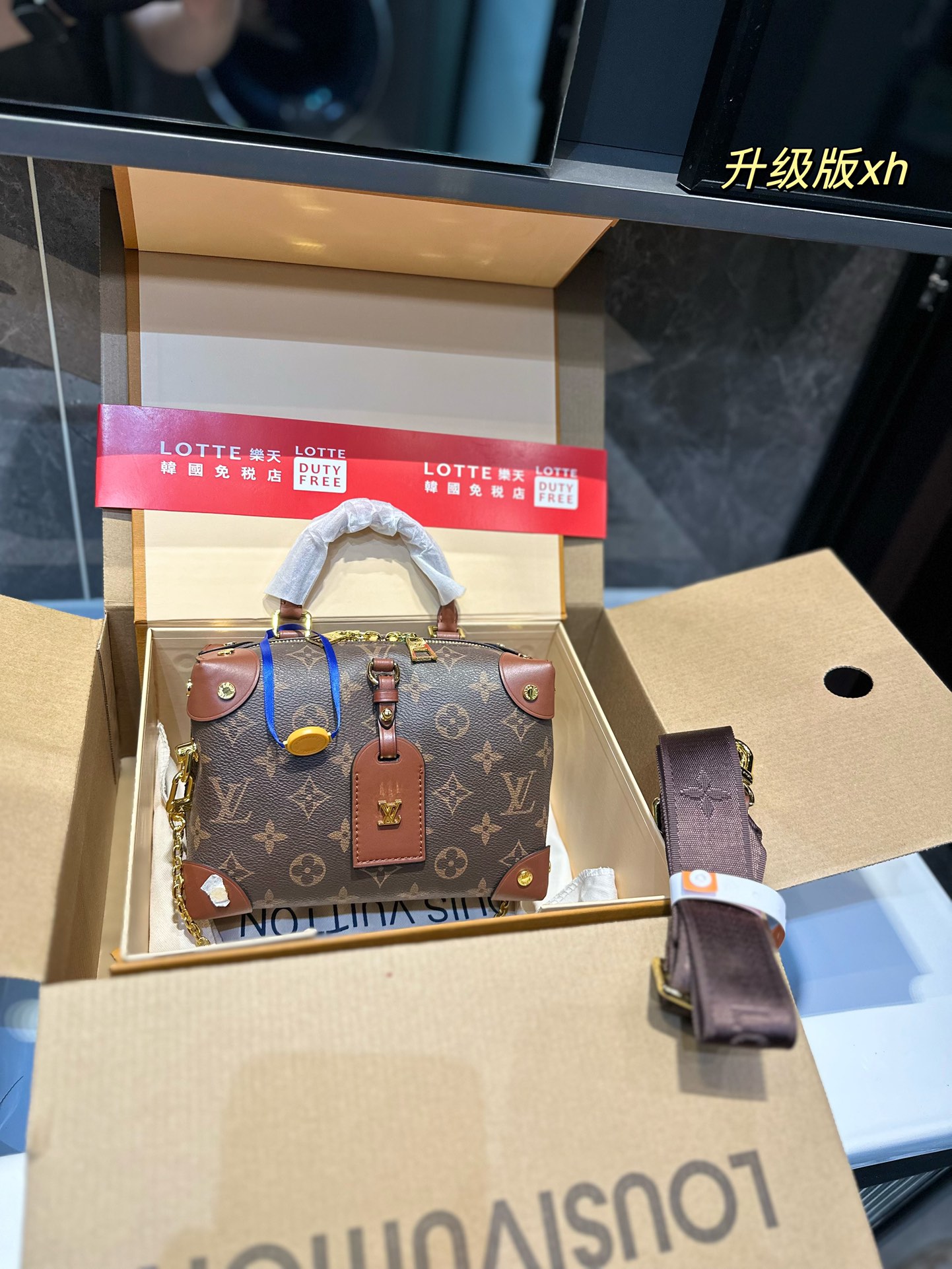 Louis Vuitton LV Petite Malle Bags Handbags Cowhide