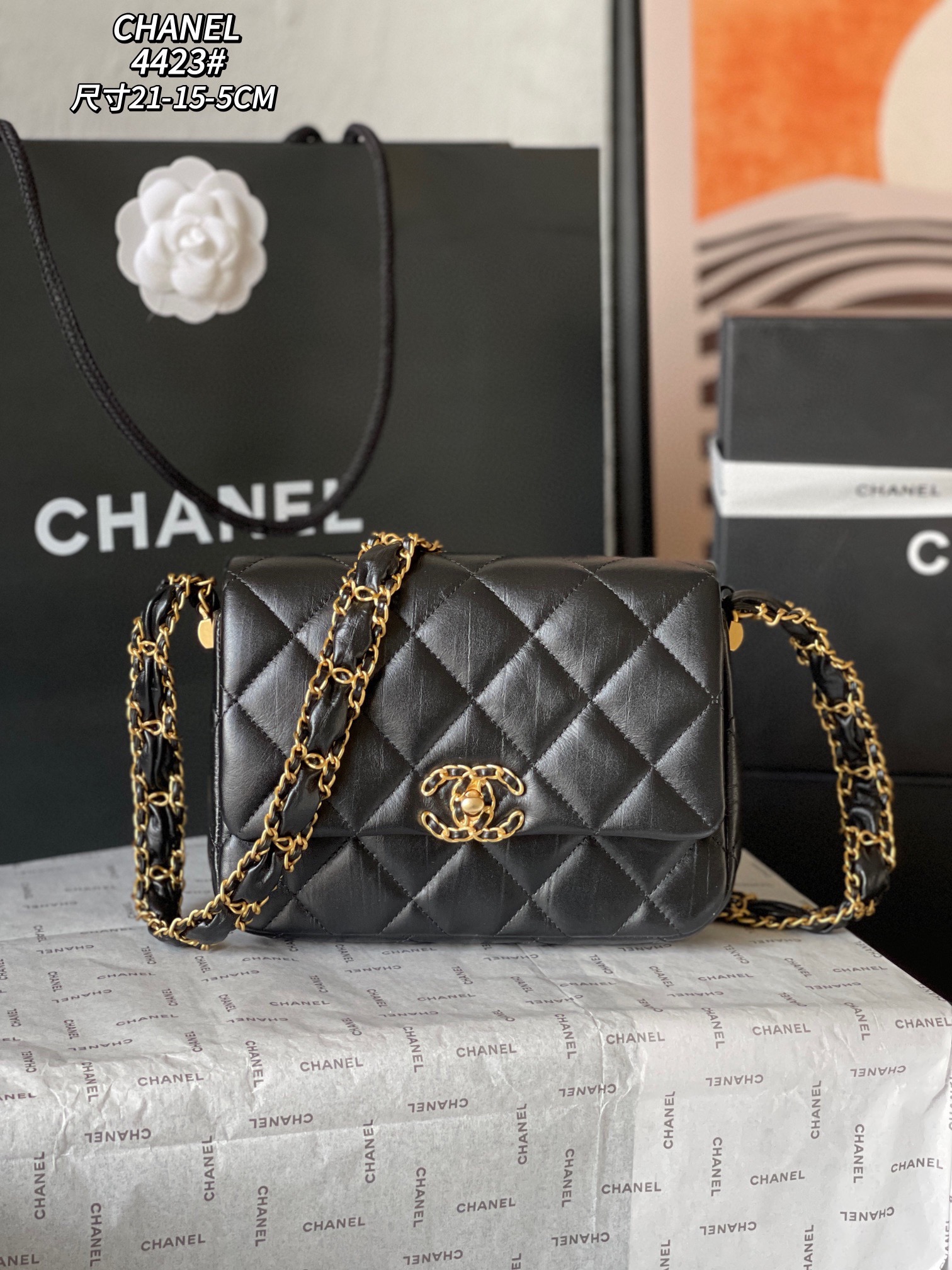 Chanel 19 Mini Bag Black Leather with Gold Chain, 21*15*5cm