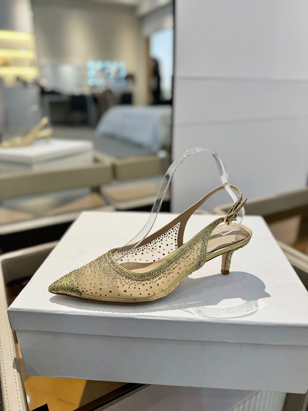 Gianvito rossi 👠
2025新款凉鞋
顶级版本
代购品质
👡这双施华洛奇水钻搭配网高跟尖