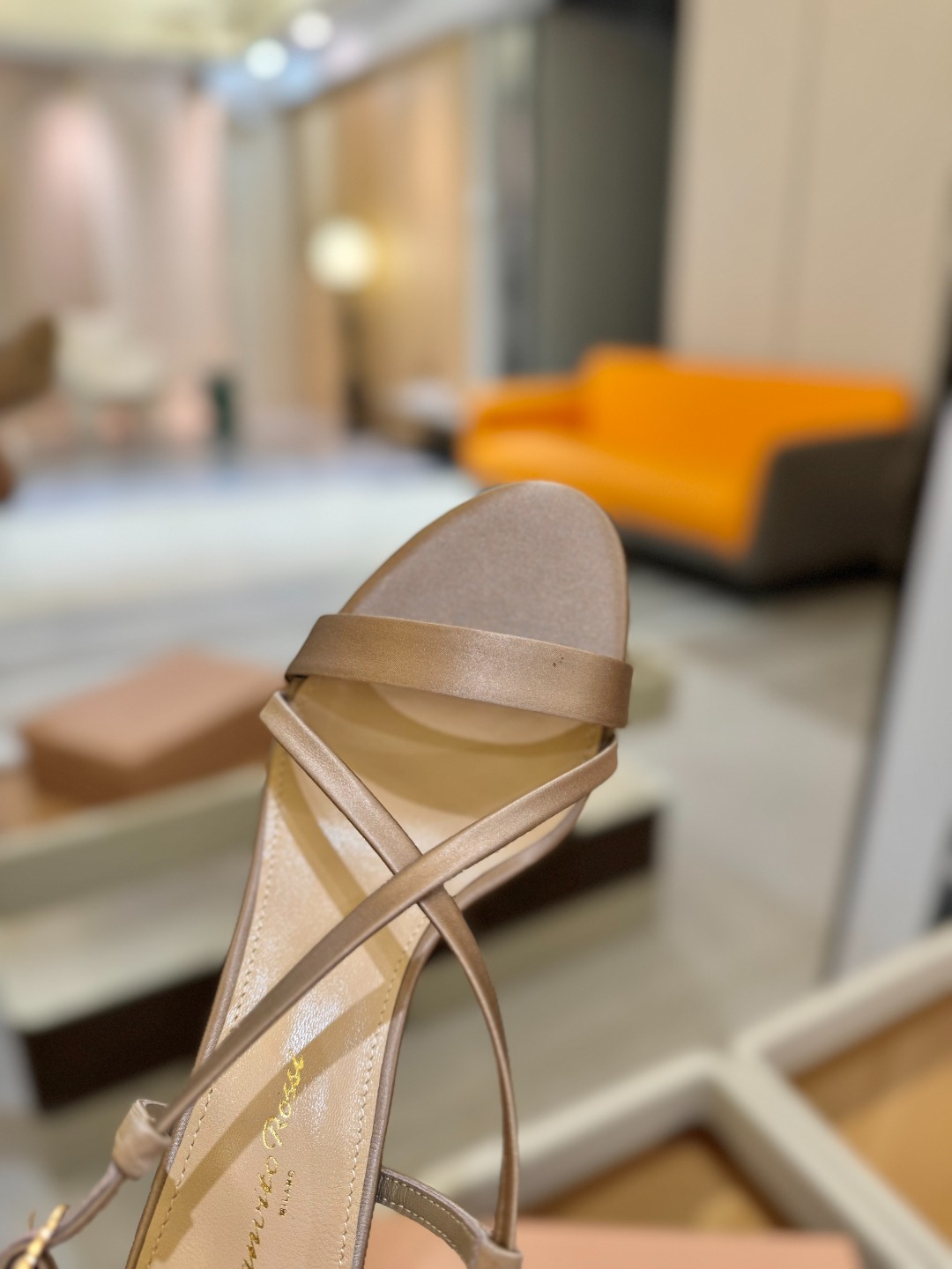 
   𝙂𝙞𝙖𝙣𝙫𝙞𝙩𝙤 𝙧𝙤𝙨𝙨𝙞  
     吉安维托·罗西 
    Gianvito ross