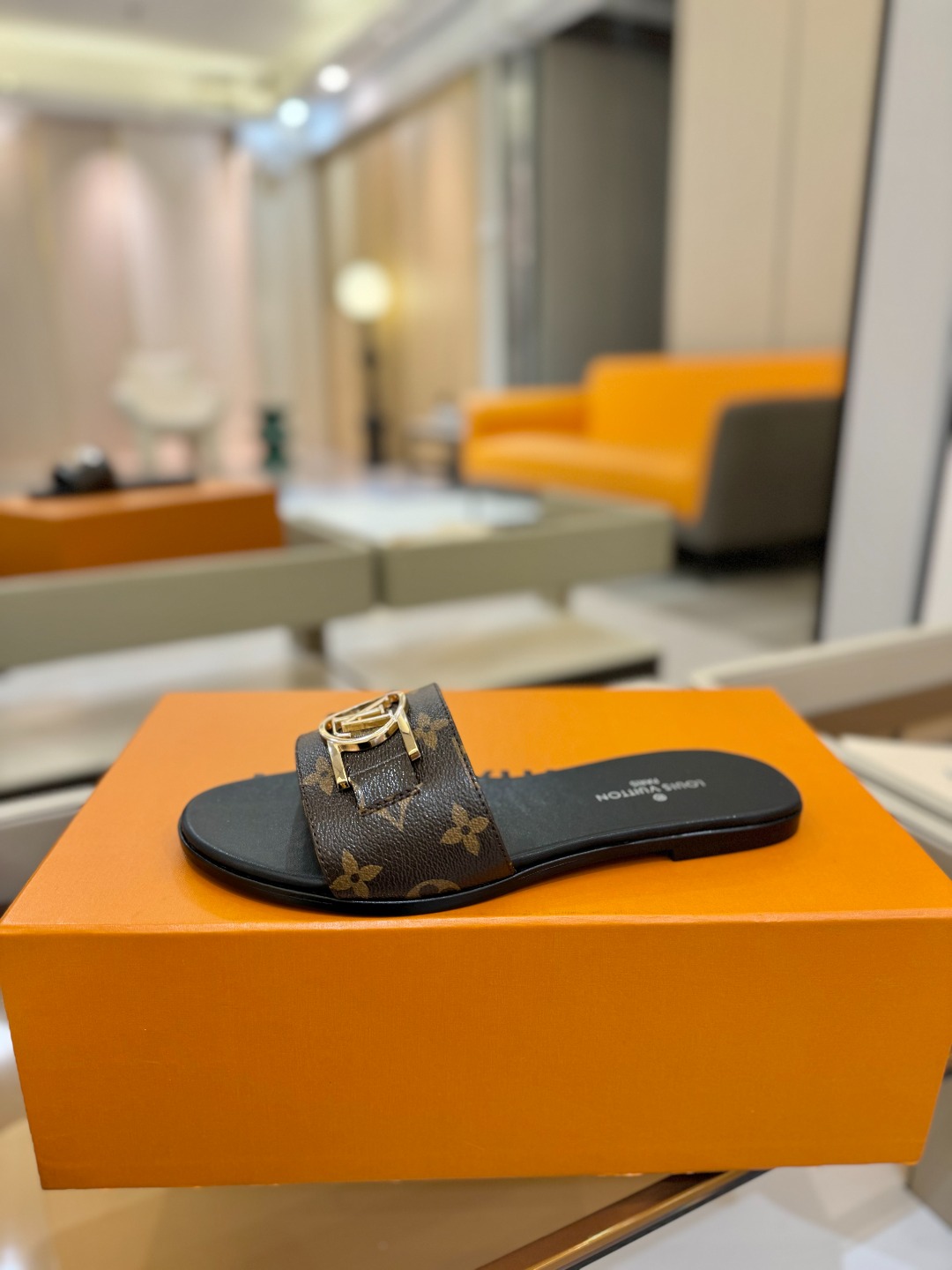 
                               Louis Vuitton
      