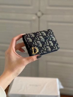 Dior Wallet Card pack Black Bronzing Oblique