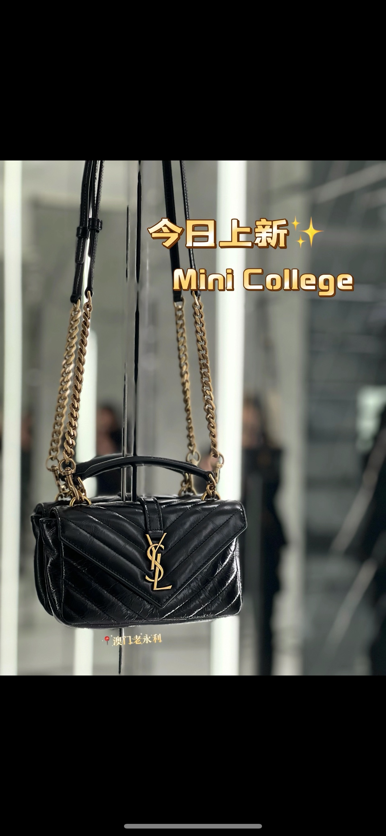 YSL Style Bag Lookbook Reference image 1