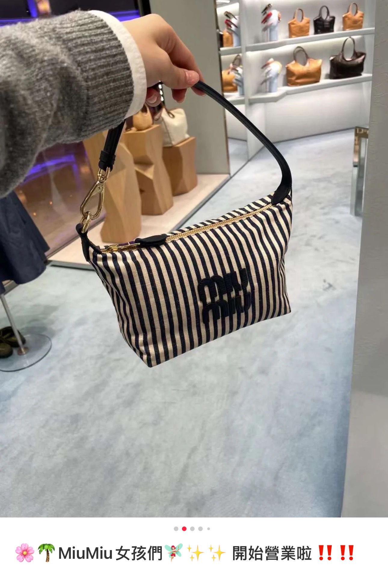 Miu Miu Striped Canvas Vanity Bag - Bag