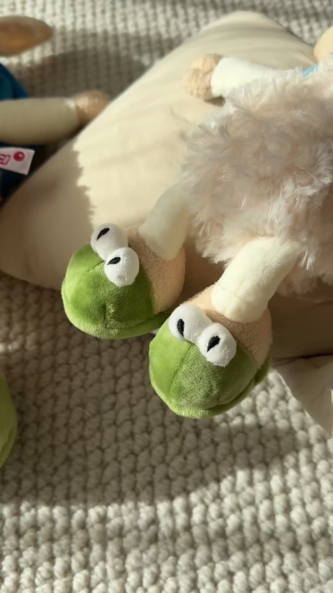 The best friend of the Sleeping Hat Sheep is Mr - Hat
