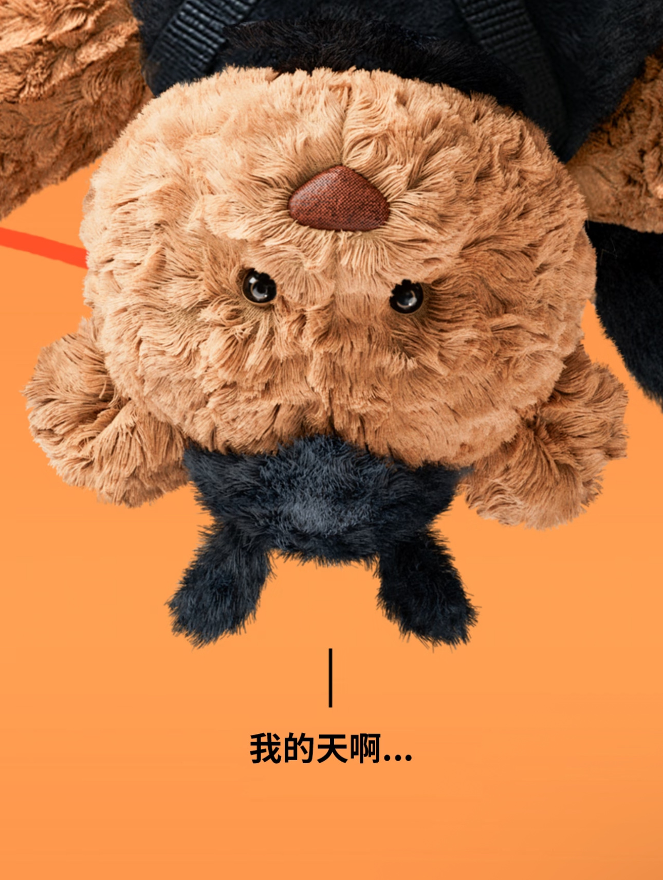 NO:810322,Preparations for Halloween are in progress. The Barceló Bear has a lot of 'silk' threads ~ He changes his clothes and transforms into a cool little spider, a trendy department store Jellycat doll19860909万圣节准备进行中 巴塞罗熊的“丝”绪万千～ 换装变身酷帅小蜘蛛,潮品百货Jellycat公仔,accessory