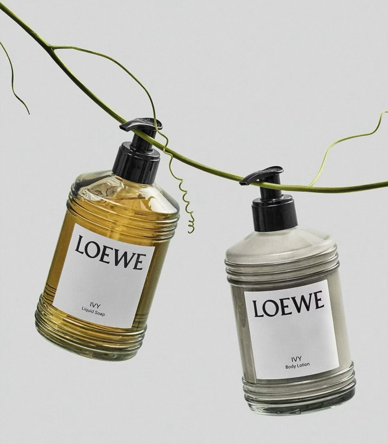 NO:894162,LOEWE tomato leaf/oregano/ivy liquid soap body lotion gift box!  !  , toiletries,loewe,loewe19860909LOEWE罗意威 番茄叶/牛至/常春藤 液体香皂身体乳礼盒！！,洗护用品,loewe,loewe,accessory