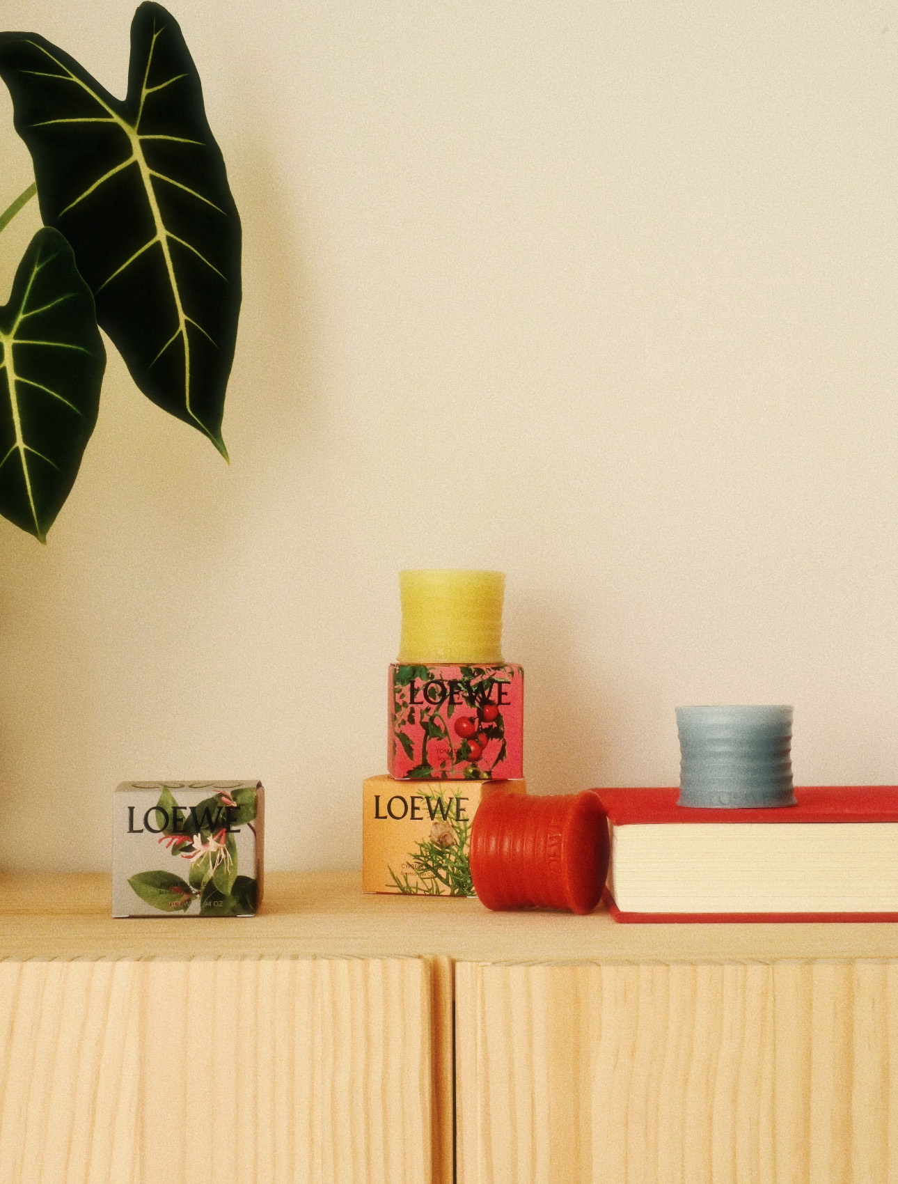 NO:938821,Three flavors bring a whole botanical garden directly into your home!  Three herbal and woody fragrances for niche healing!  It is the pure scent captured from the mountains and countryside!  Gentle and distant!  , Car Aromatherapy. Home Fragrance. Candles and Trendy Department Stores19860909三个味道直接把一整座植物园搬进你家！ 小众治愈的三支草木香调！ 是从山野田园撷取的纯粹气息！温柔又疏离！,车载香薰.居家香氛.蜡烛潮品百货,accessory