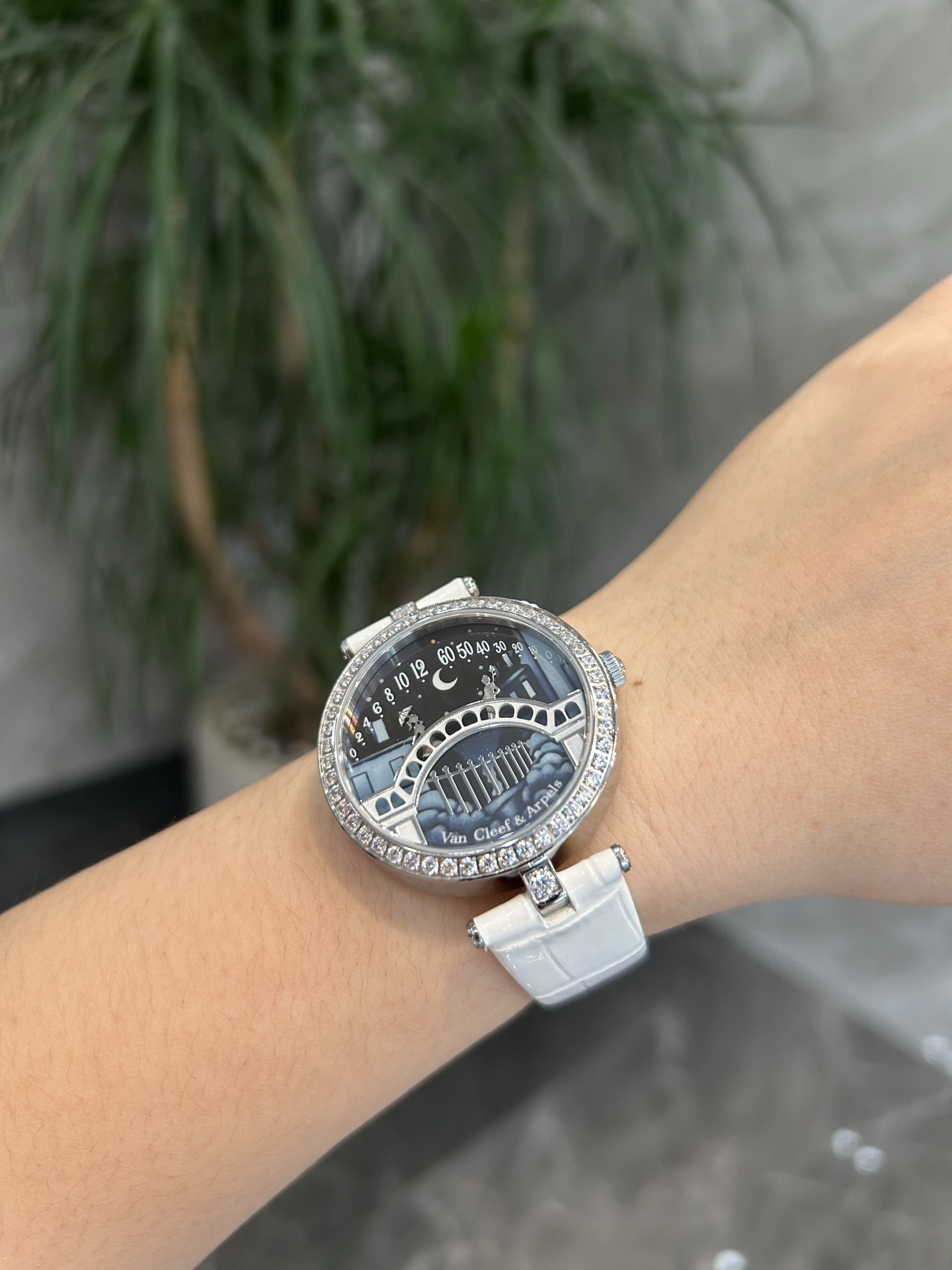 An exclusive picture. Van Cleef & Arpels high quality Van Cleopatra Lover Bridge, Switzerland - 图片 6