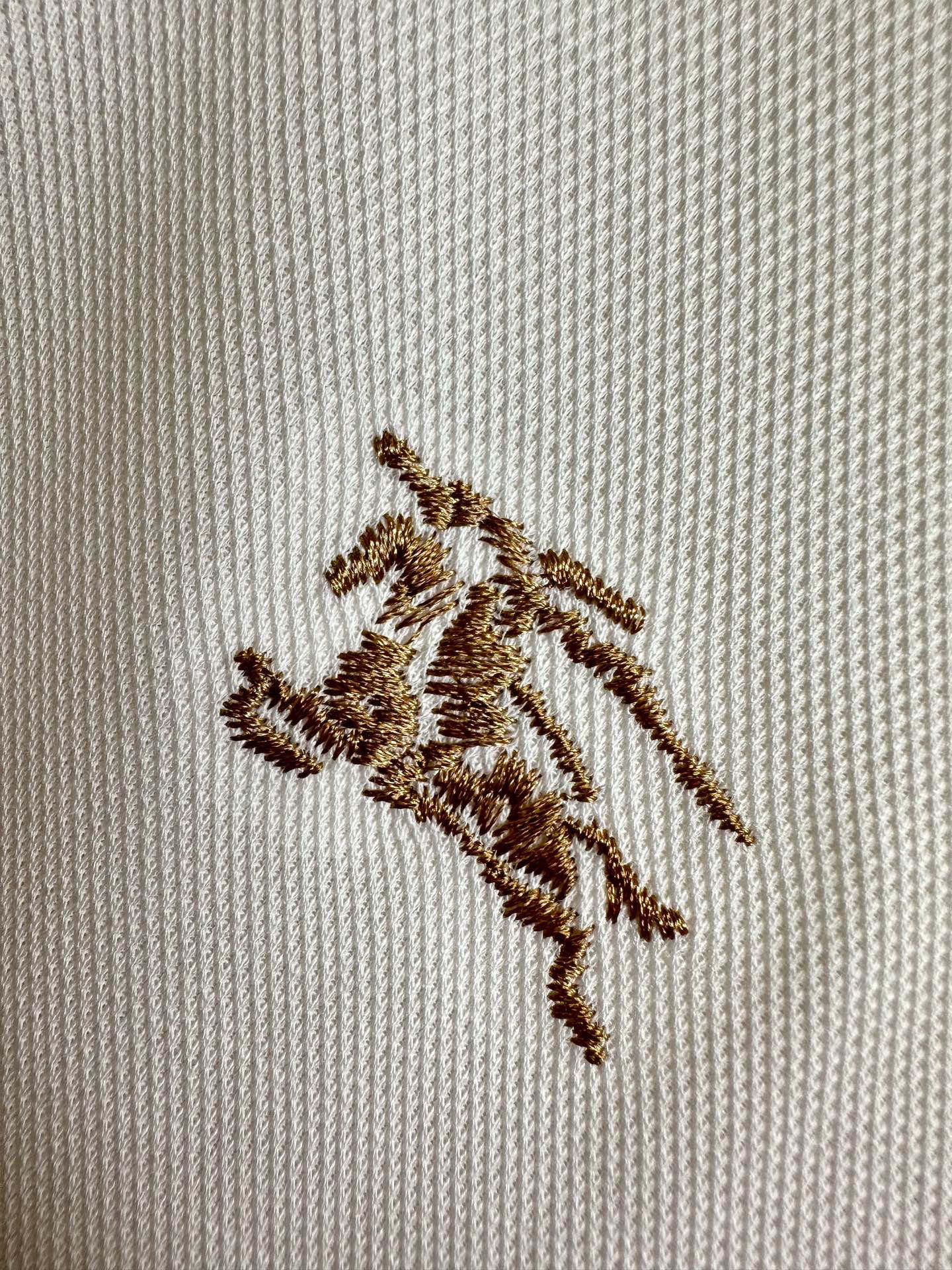   白色展示～