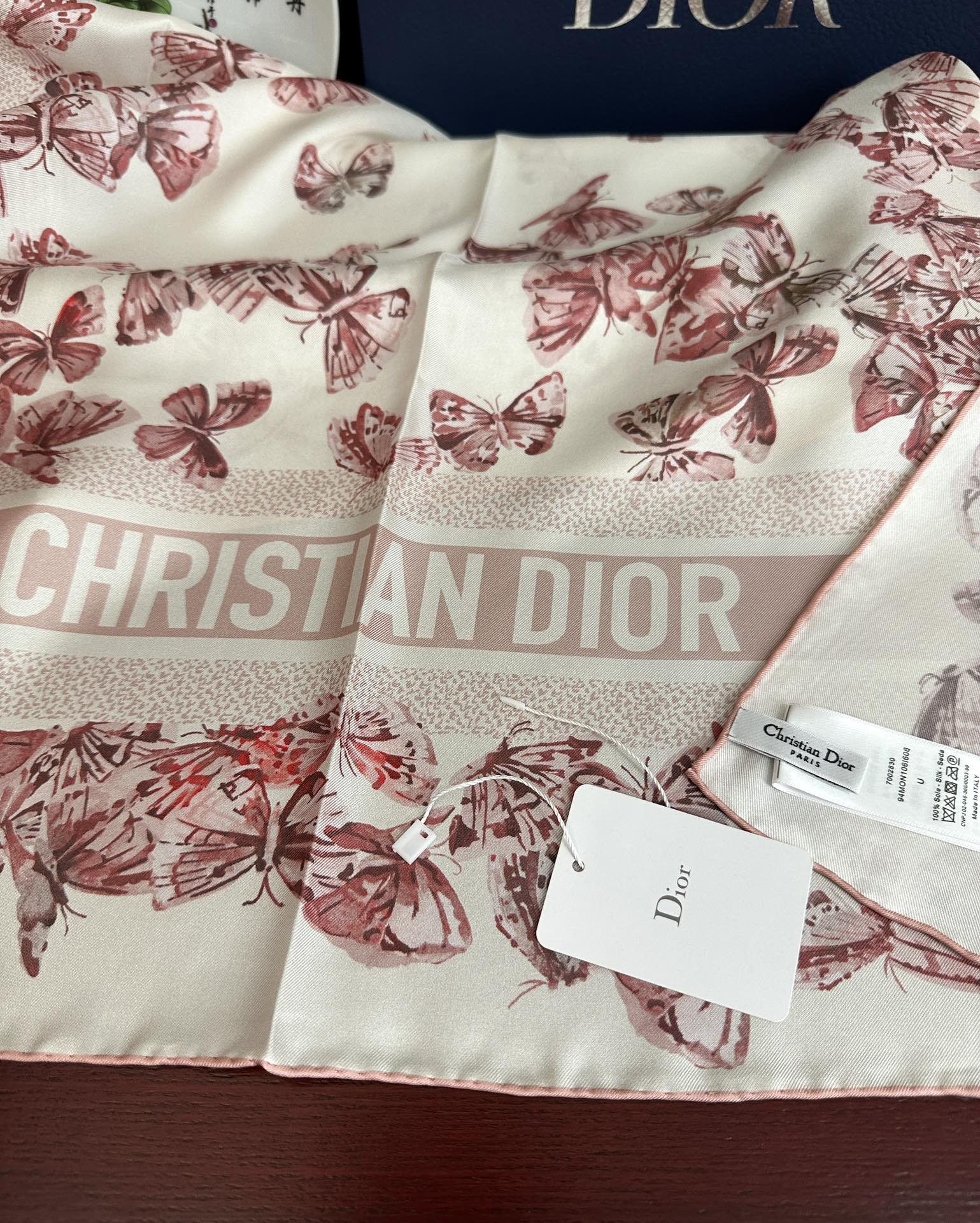 。新款 Dior 2025最新款官网同步Camo PaPillon 图案印花庆祝以优雅而诗意的设计全新演