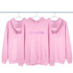 Balenciaga Clothing Hoodies Pink Printing Hooded Top