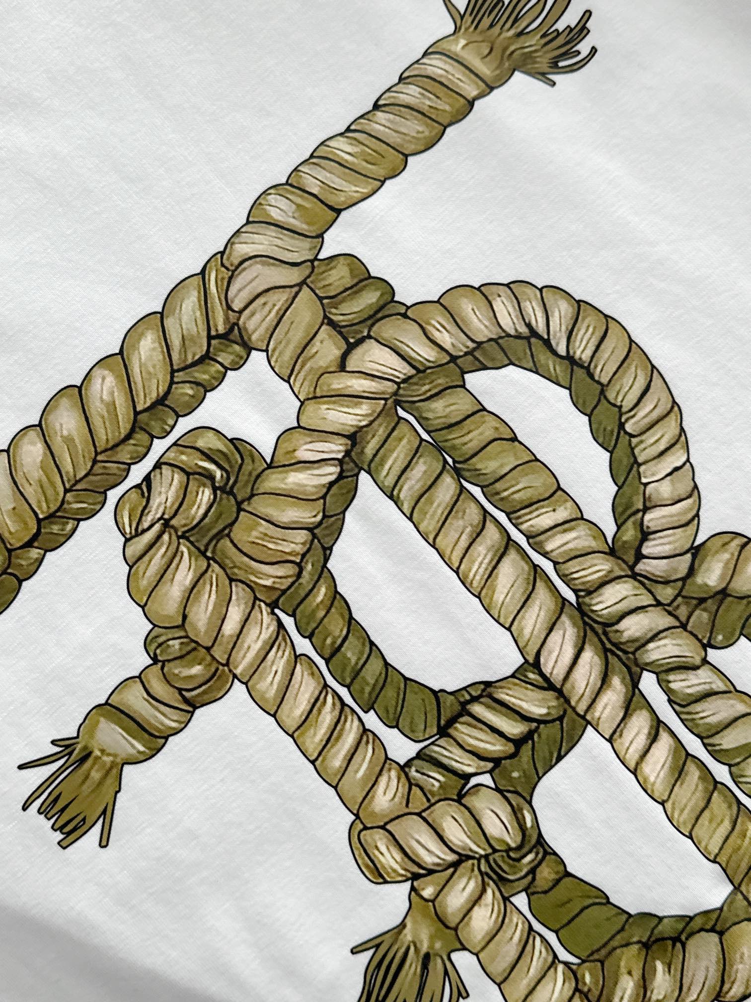  BBR  2025SS春夏最新款圆领时尚短袖T恤，官网同步，专柜纯棉面料！贴肤舒适，耐看又好穿，经典简