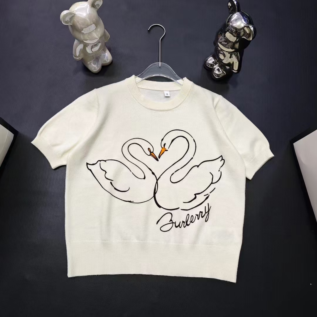 NO:439326,Short-sleeved, T-shirt,alexander wang19860909短袖,,T-shirt,alexander wang,Women's clothing