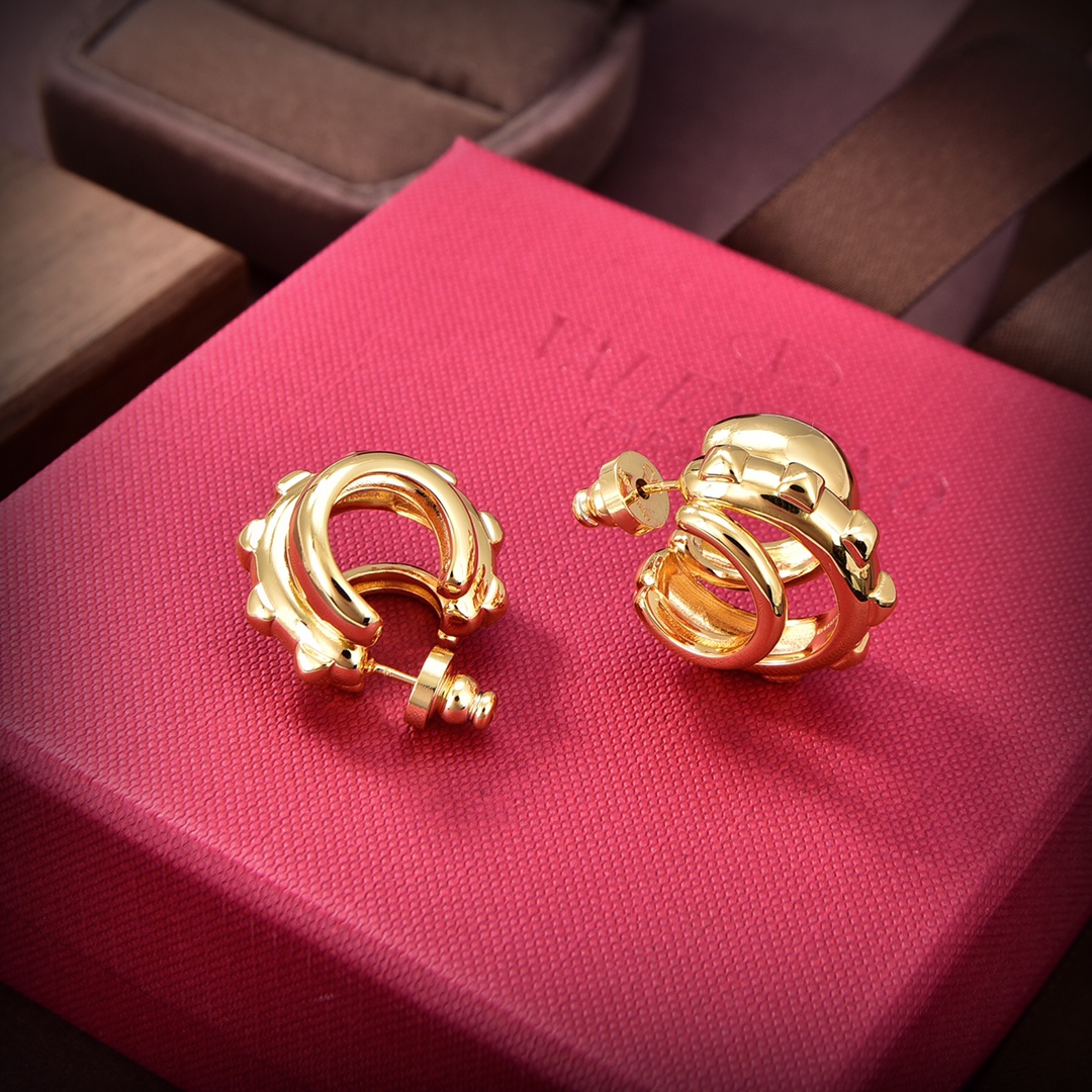 발렌티노 귀걸이 63611 Valentino Earrings