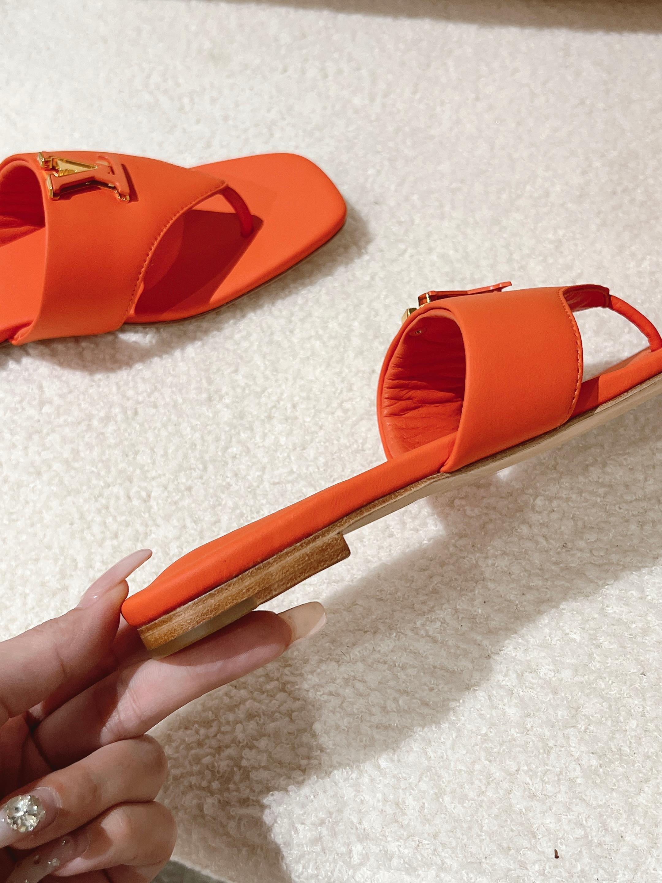 Louis Vuitton Slides
