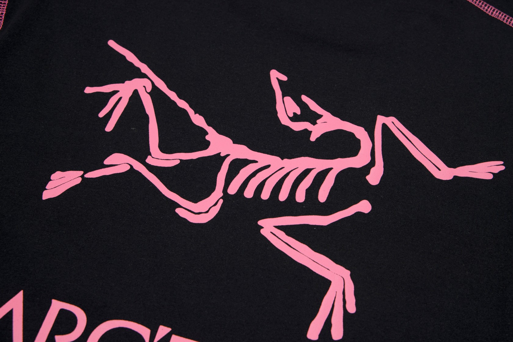 2024 FW Ayc Teryx Short Sleeve T-shirts: High-End Logo Design, Heavy Fabric Options - 图片 7