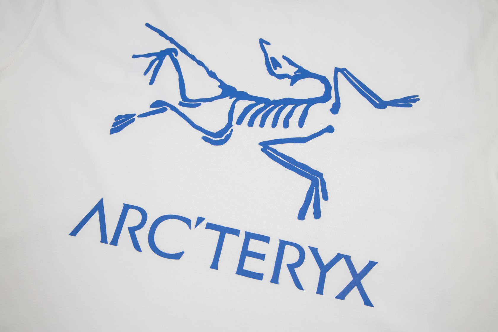 ARC'TERYX 始祖鸟 24ss短袖T恤 标志性小鸟LOGO 印花白蓝