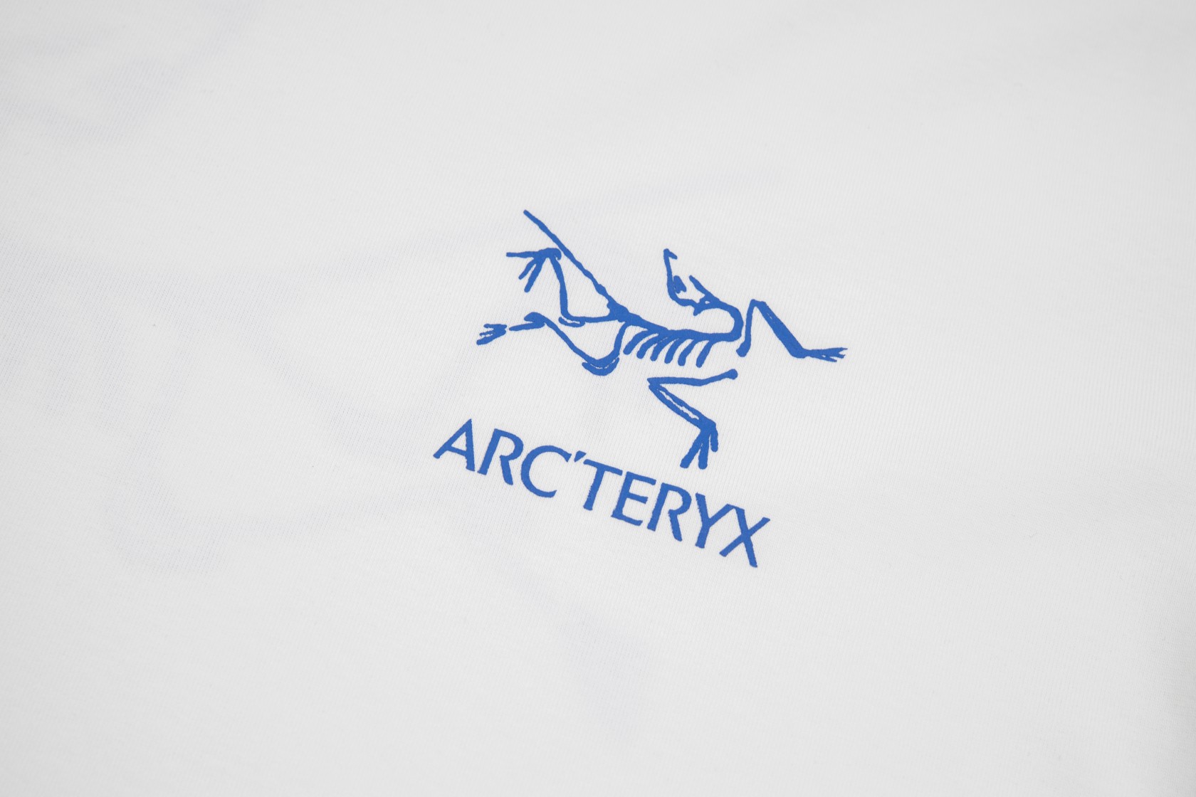 ARC'TERYX 始祖鸟 24ss短袖T恤 标志性小鸟LOGO 印花白蓝