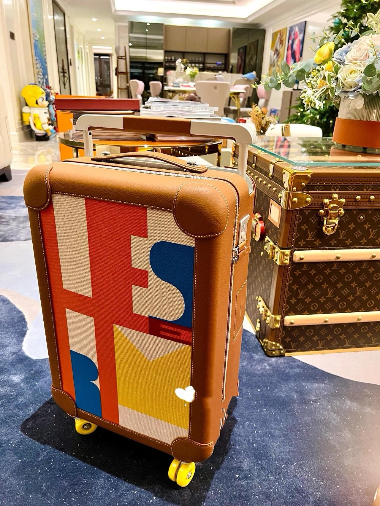 R.M.S. Elmar S. Travel Vans and Pull Boxes: Enhance Your Journey with Style - 图片 6