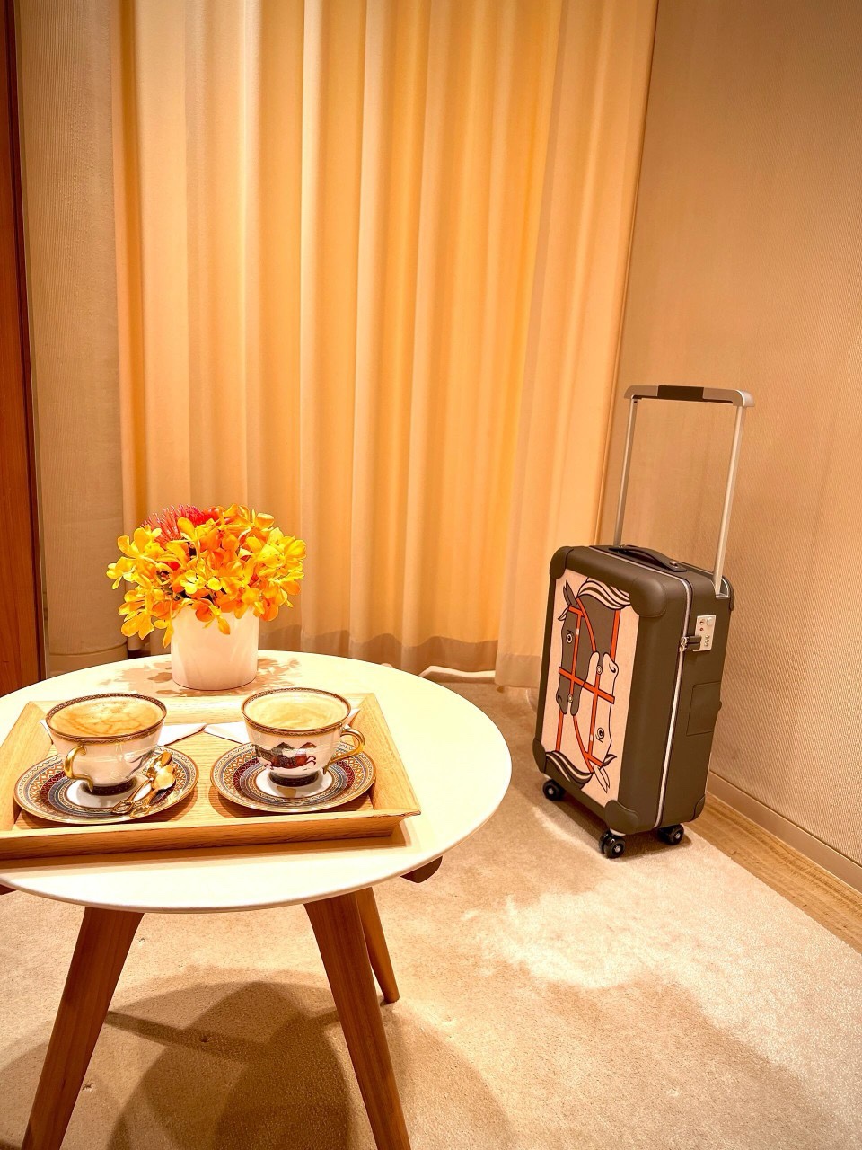 R.M.S. Elmar S. Travel Gear: Pull Box, Luggage Box, Lockers – $150,000. - 图片 3