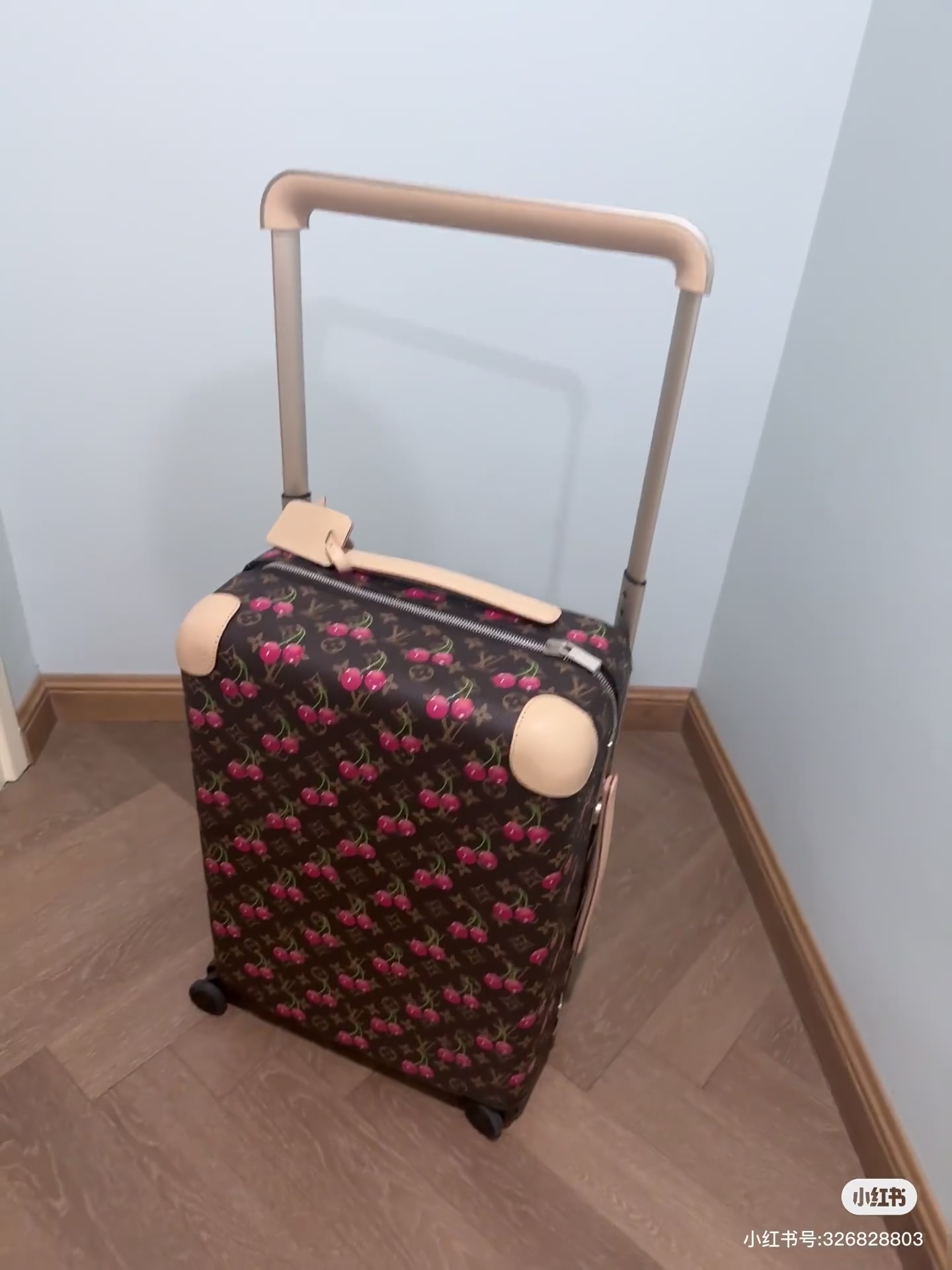 Luxury Louis Vuitton Travel Luggage: Features and Specifications - 图片 3