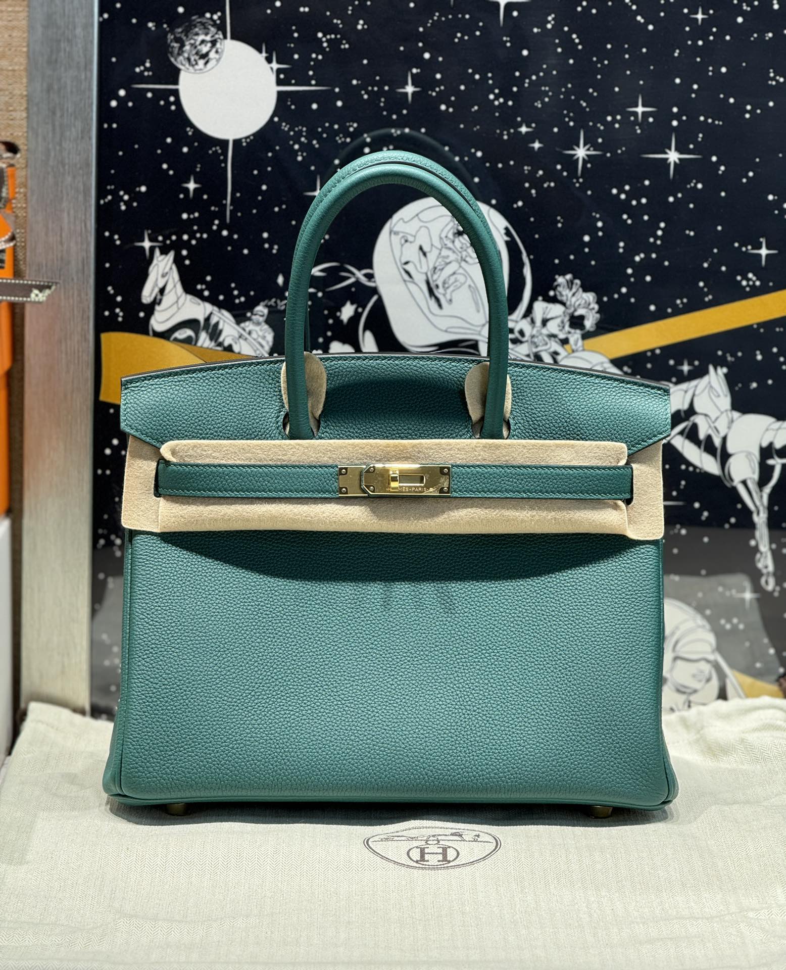 Hermes Birkin Bolsos de mano Verde