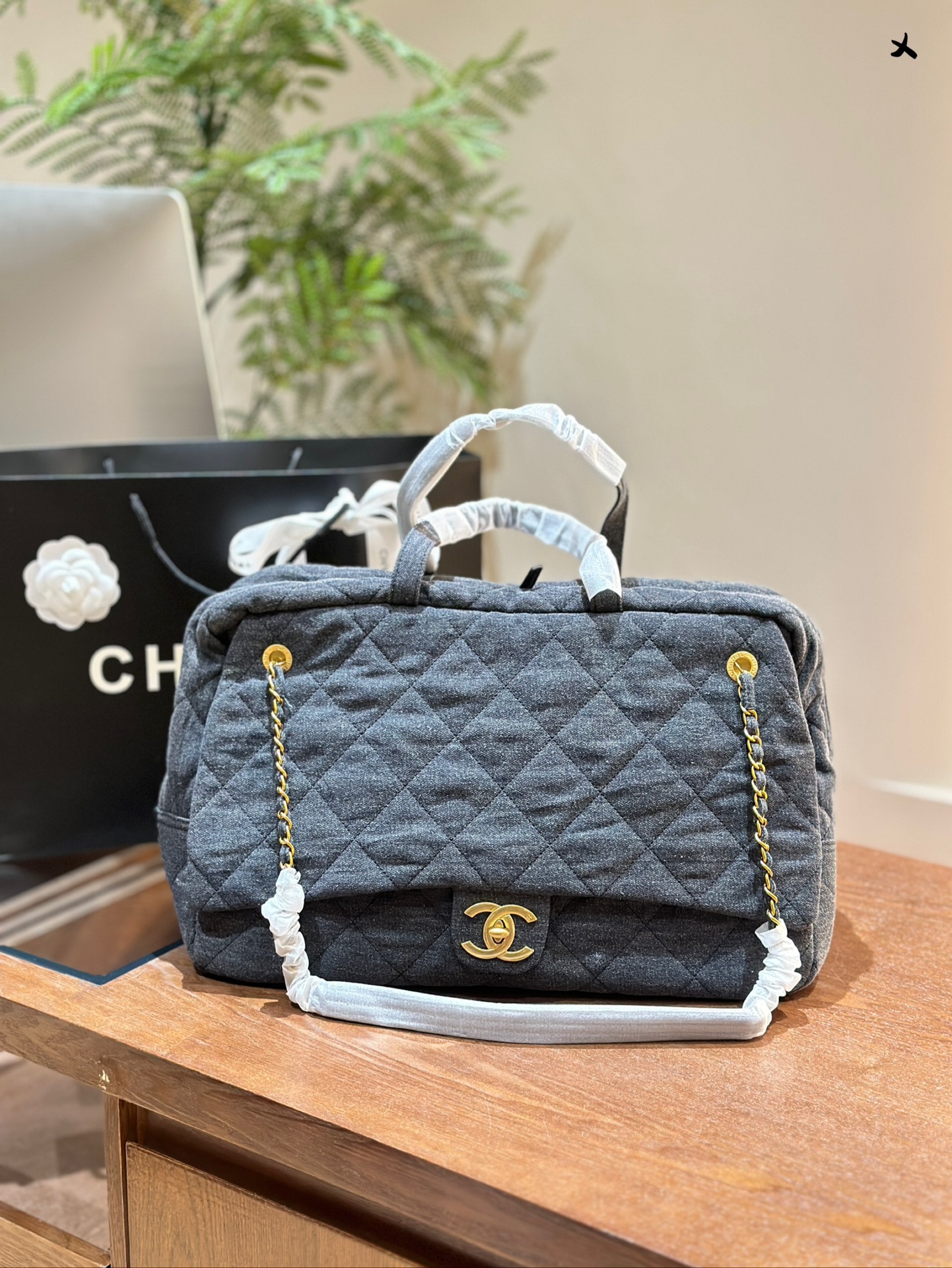 Chanel AAAAA
 Handbags Travel Bags Embroidery