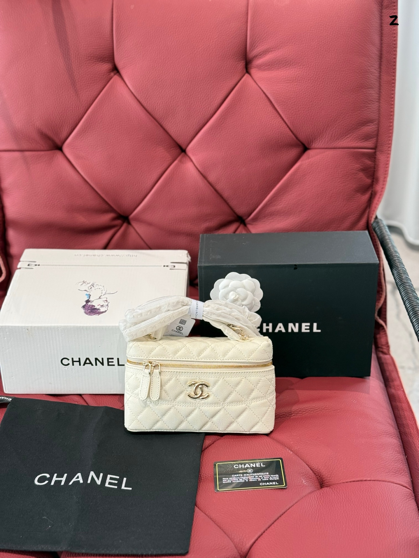 P220-chanel 25c Hot Ip Box Bag, super fortunato ~ Il tipo di borsa è LP109, la dimensione è molto squisita e carina.