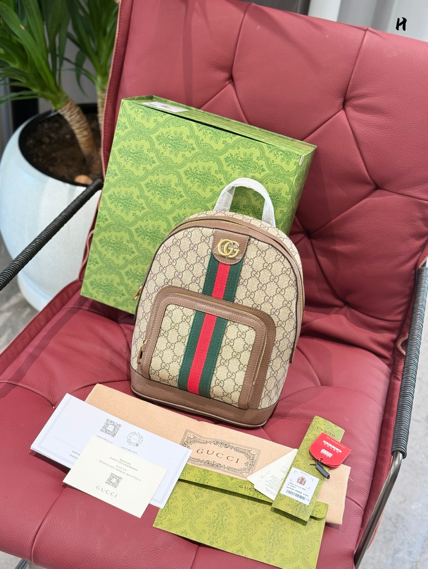 P180GUCCI Ophidia Classic Presbyterian Double G Backpack Presbyterian + Red and Green Color Matching Super Temperament Invincible Versatile Dimensione: 23 × 30 con scatola