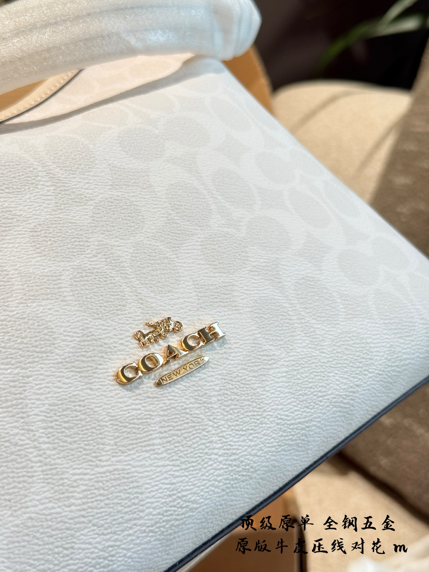Coach Bolso Bandolera Luna Blanco Glaciar - Elegancia y Versatilidad 7 i1742637772231 1342 0 7
