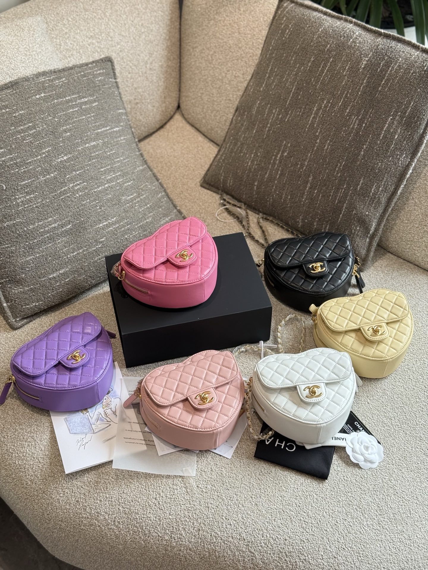 💰260
CHANEL 2宇博Chiara|秀场同款爱心包Chanel22S秀场爆款黑金爱心包大号非常可爱经典能装东西的一只淡金扣最热门的颜色和大小.
ChiaraFerragni同款搭配牛仔机车风也非常酷拉秀场搭配淑女套装也无比契合
韩国博主日常休闲背心长裙也非常精致
不挑搭配性价比精致度都很高推荐常常常计18cm双盒