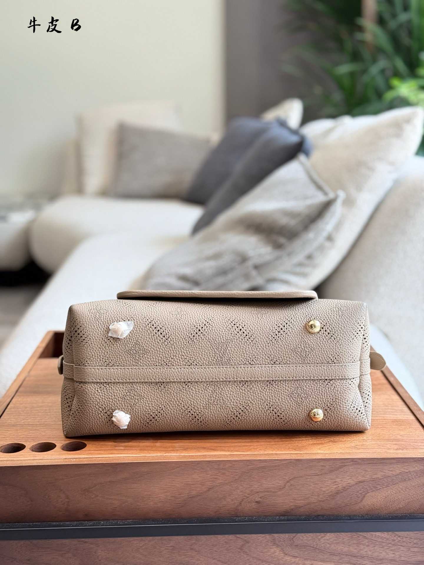 Bolso Carryall Louis Vuitton en Cuero con Monograma en Relieve 7 i1746258119426 3771 0 5