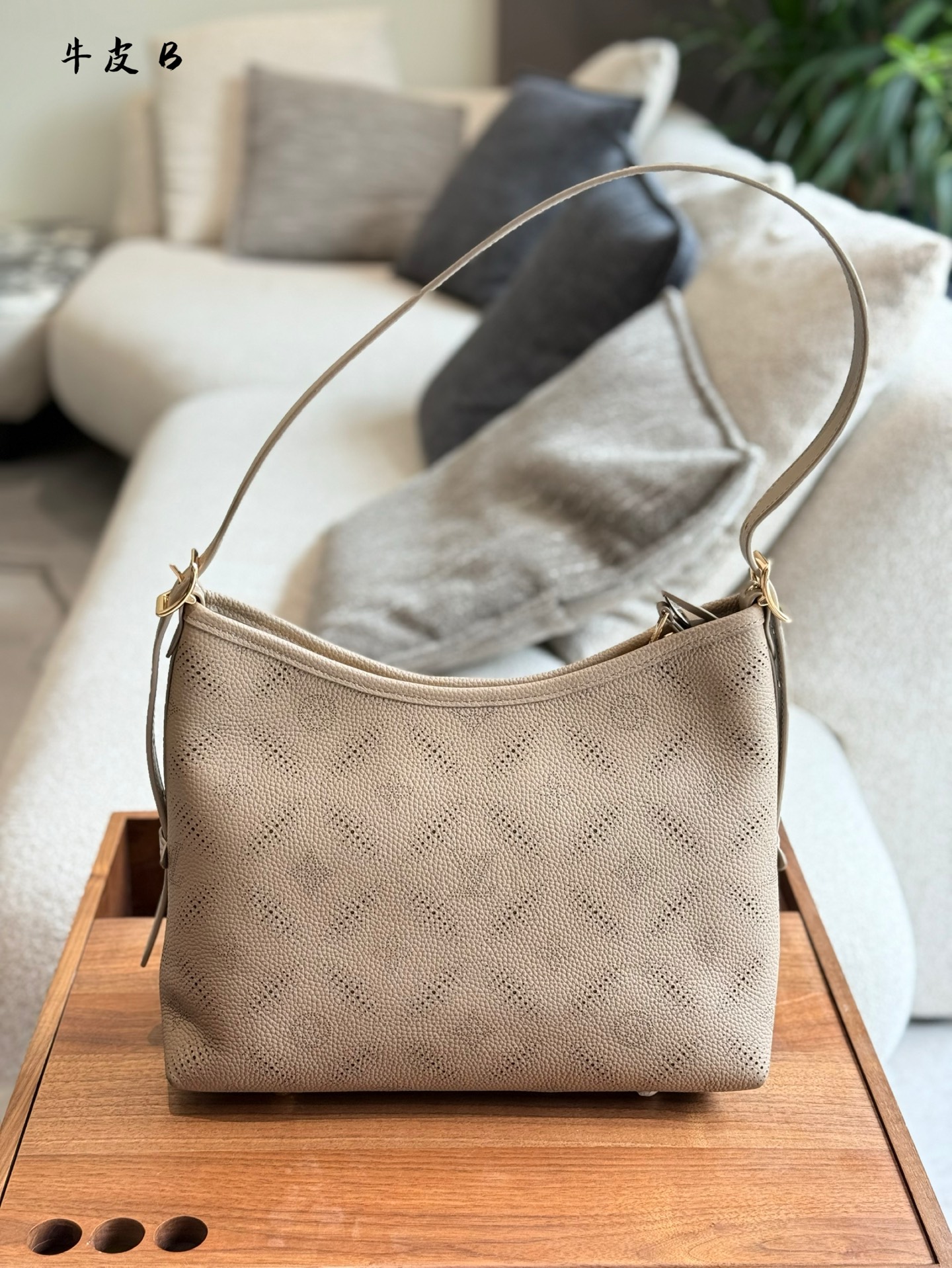 Bolso Carryall Louis Vuitton en Cuero con Monograma en Relieve 8 i1746258121139 3134 0 6