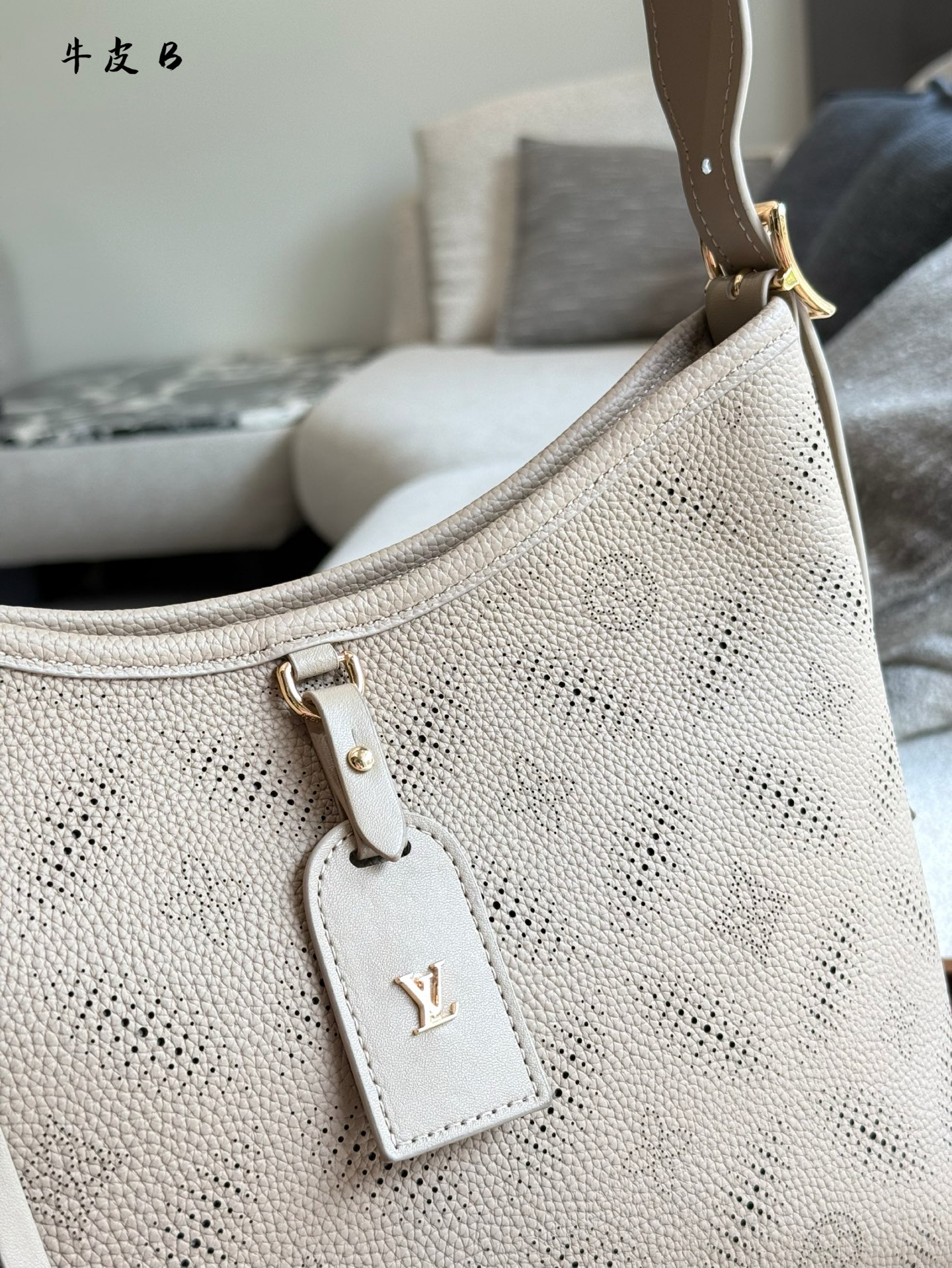 Bolso Carryall Louis Vuitton en Cuero con Monograma en Relieve 5 i1746258121151 734 0 3