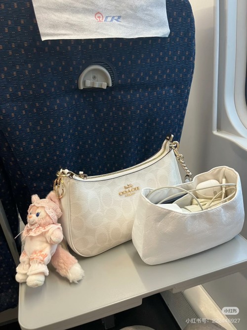 Coach Teri Shoulder Bag: Glacier White, Two Straps, Perfect Size 1 Coach Teri Shoulder Bag: Glacier White, Two Straps, Perfect Size