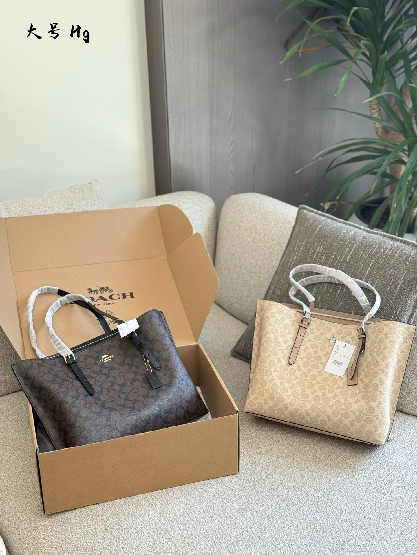 Coach Mollie Tote Bag: Spacious Double Compartment Design - Stylish and Durable