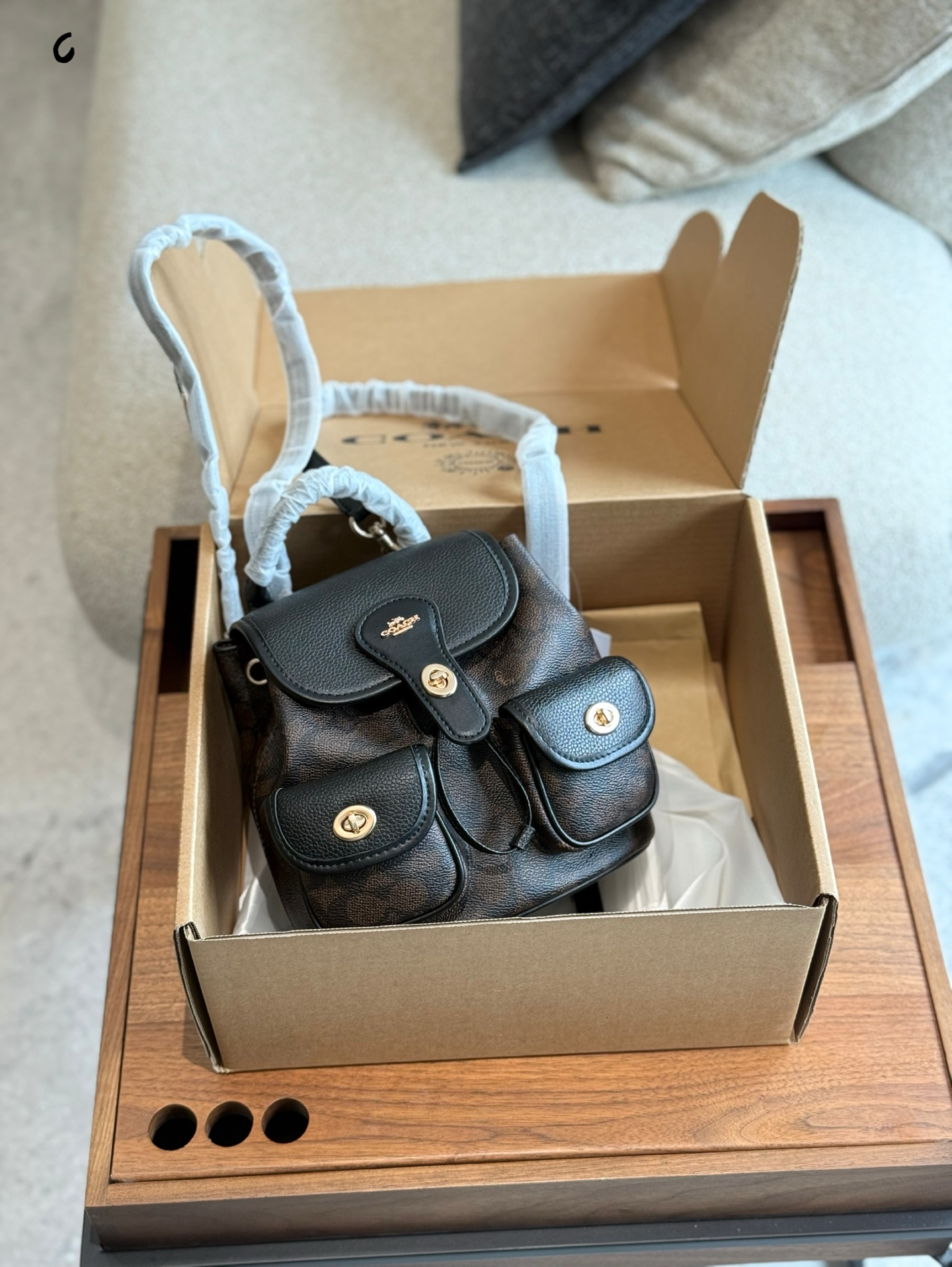 COACH Hadley Backpack: A Stylish and Compact Summer Bag