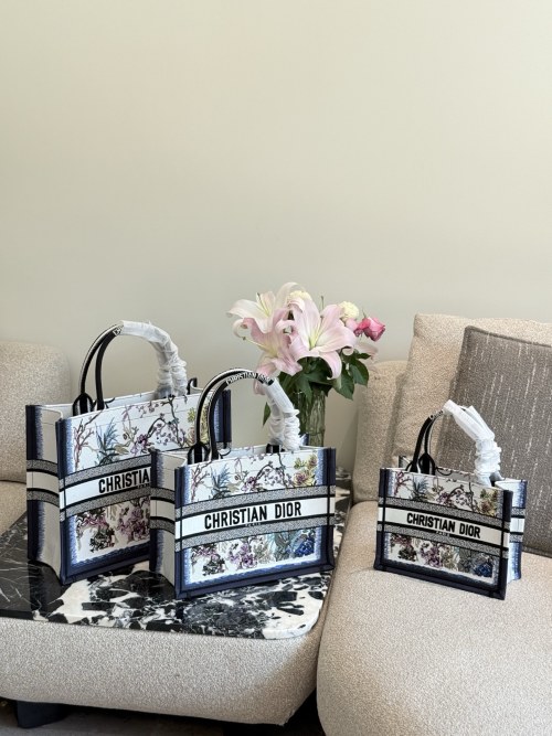 Dior Panelli Tote Bag: Embroidered Elegance for Your Daily Essentials 1 Dior Panelli Tote Bag: Embroidered Elegance for Your Daily Essentials