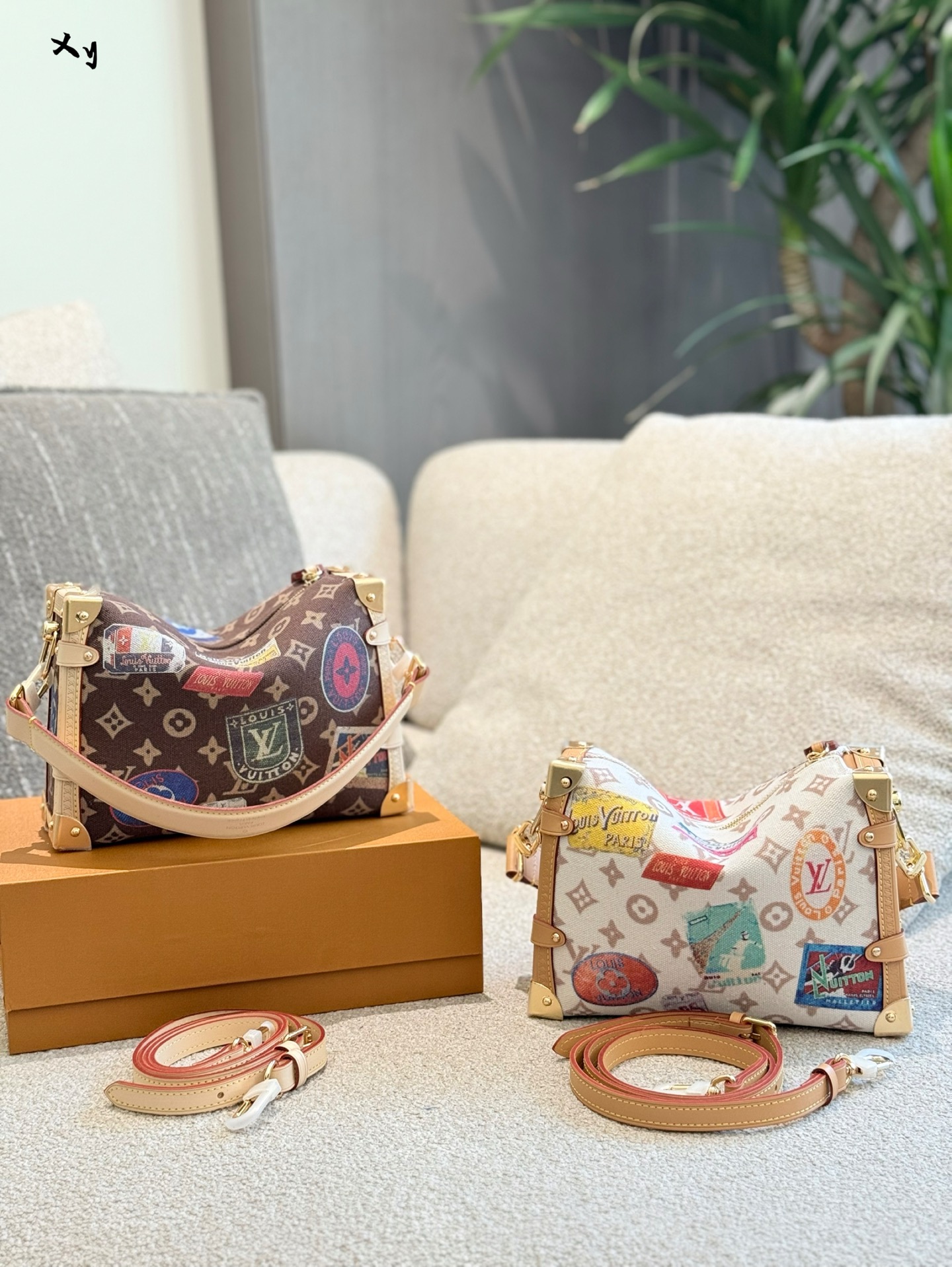 Louis Vuitton Side Trunk MM Bolso Soft Box Edición Limitada con Estampado 8 i1751860333213 4619 0 8