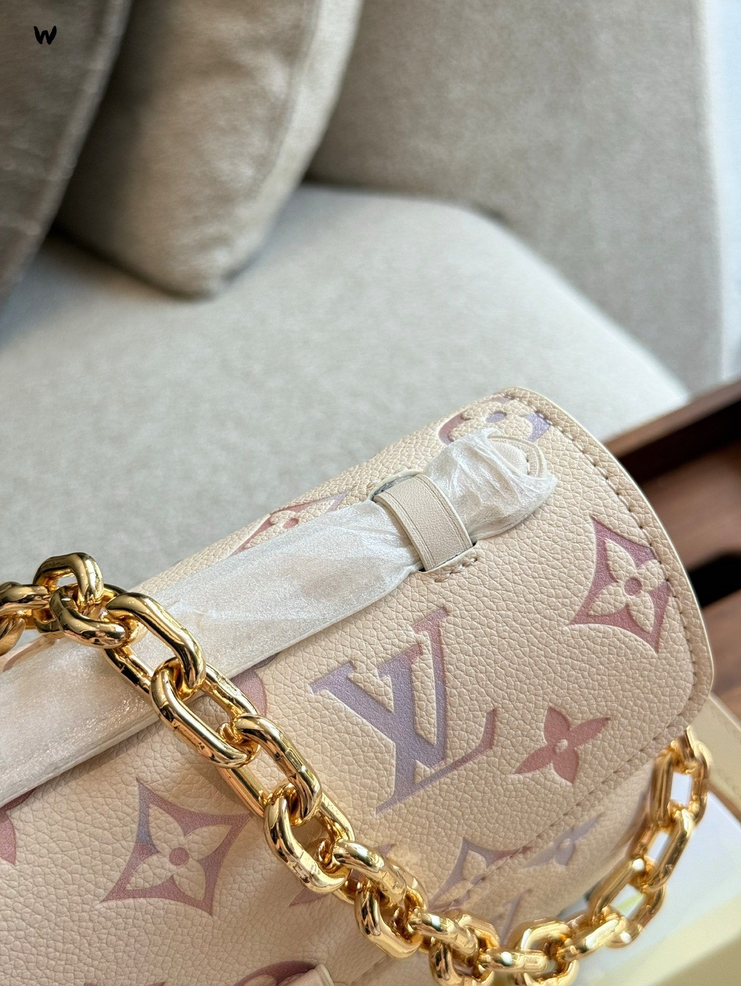 Louis Vuitton Rainbow Monogram Bolso Bandolera con Cadena Dorada 4 i1753842811422 5666 0 2