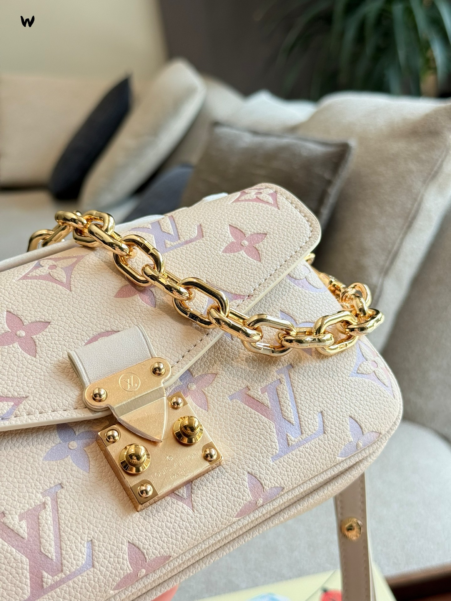 Louis Vuitton Rainbow Monogram Bolso Bandolera con Cadena Dorada 9 i1753842812608 6079 0 7