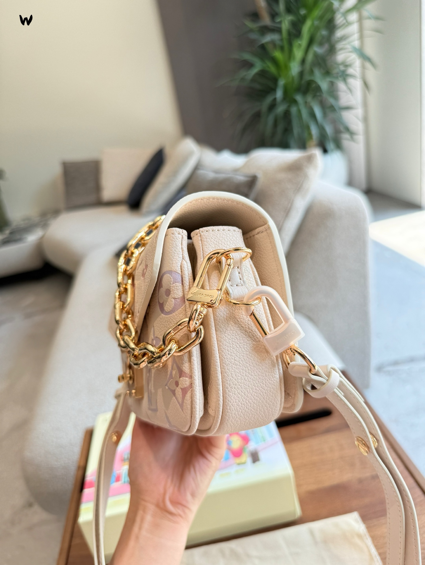 Louis Vuitton Rainbow Monogram Bolso Bandolera con Cadena Dorada 10 i1753842812613 185 0 8
