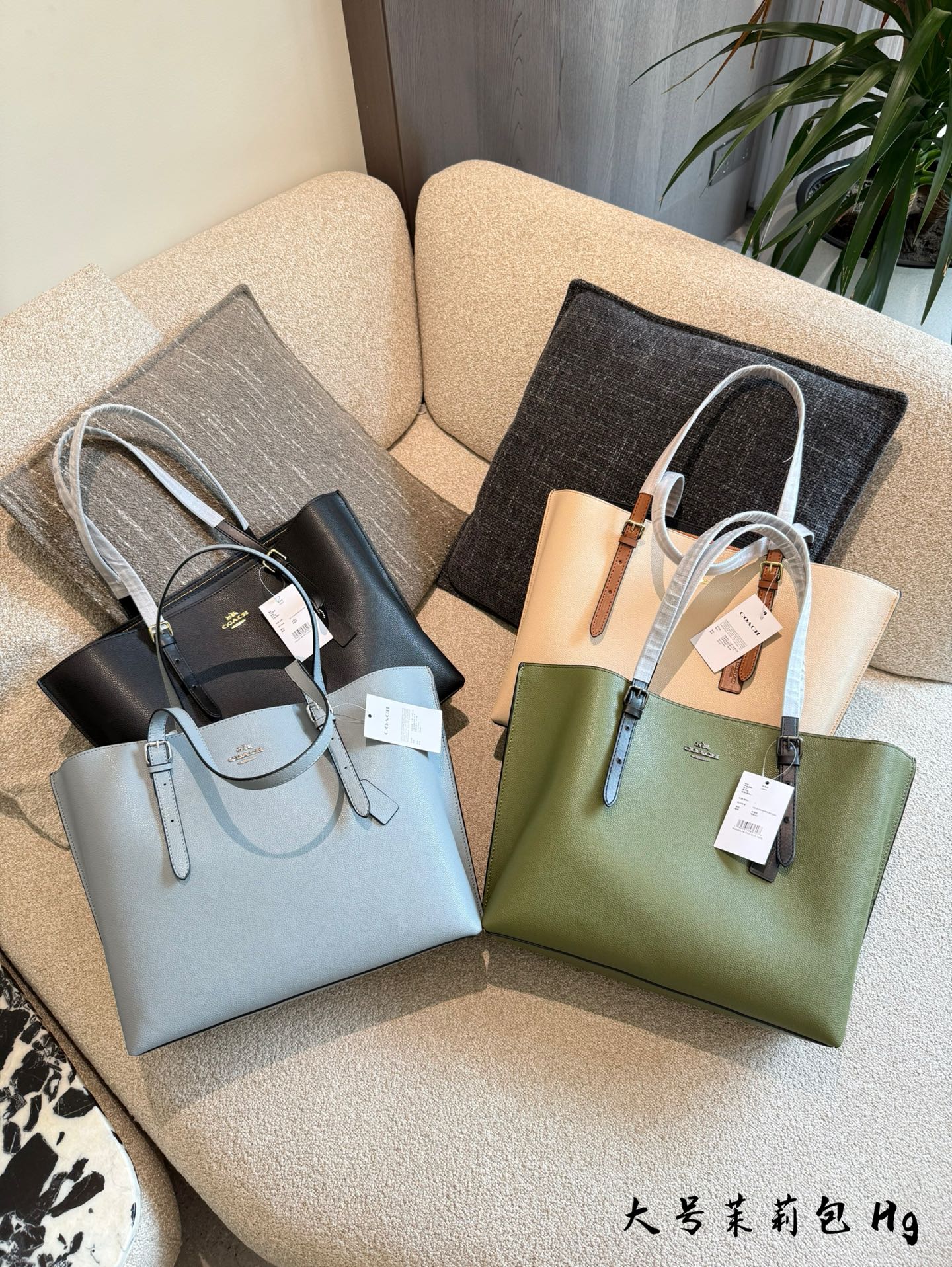 Coach mollie大号💰280 三隔层带拉链, 两边收腰设计 简洁流畅又大方, 实用百搭款 尺寸约33*29*15