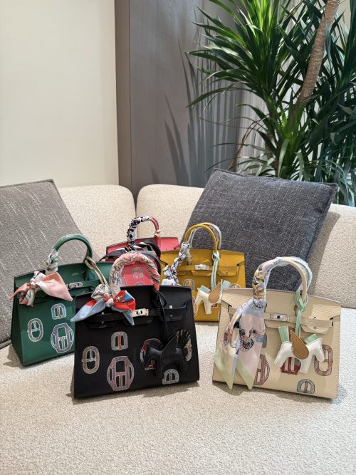 Limited Edition Birkin 25 Black Goat Leather Handbag with Silver Hardware 1 Limited Edition Birkin 25 Black Goat Leather Handbag with Silver Hardware