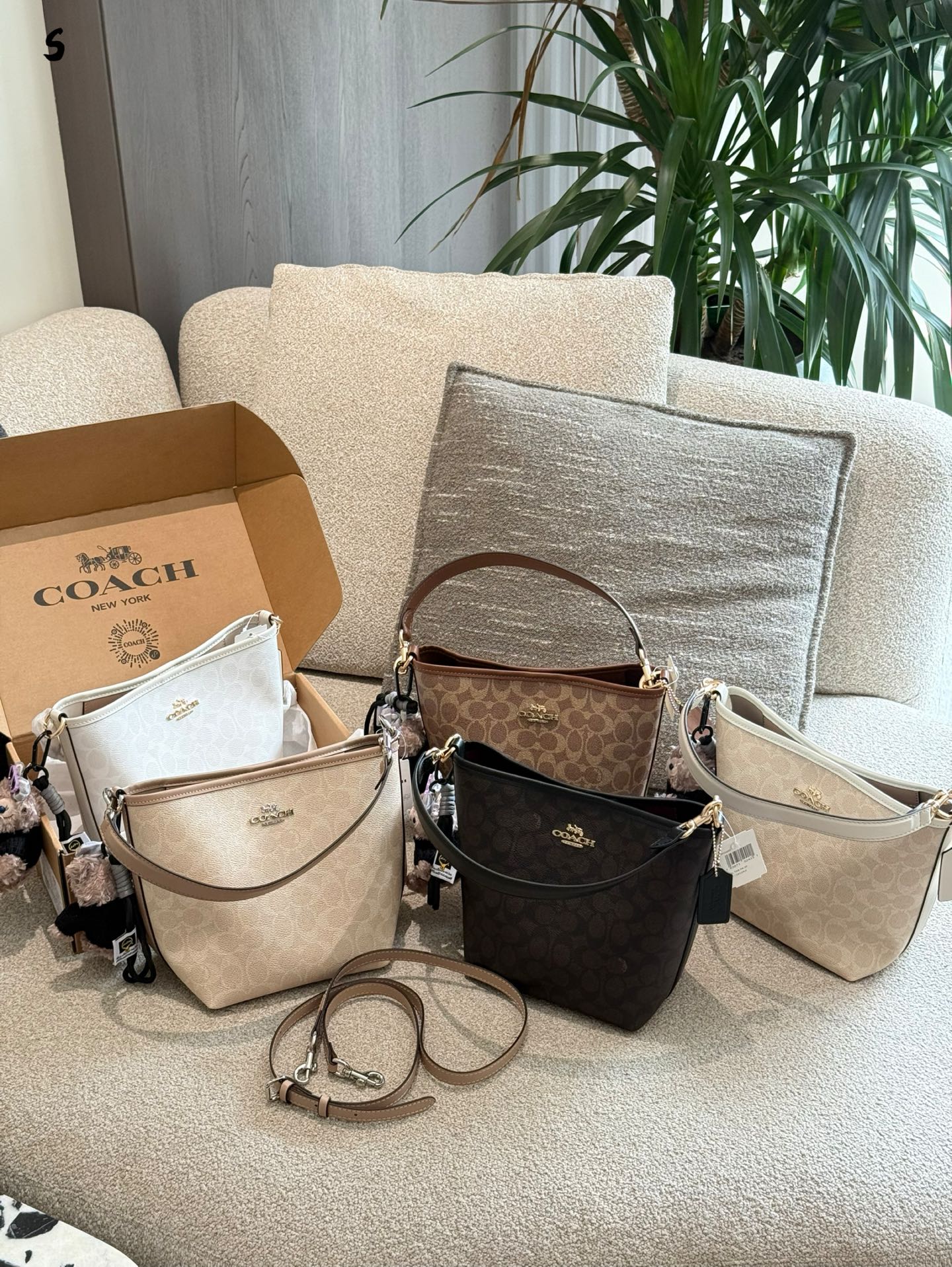 _dtH9srZhXo1Z8ZExVRPHpSeBBnz2ph8w5BGiXTw