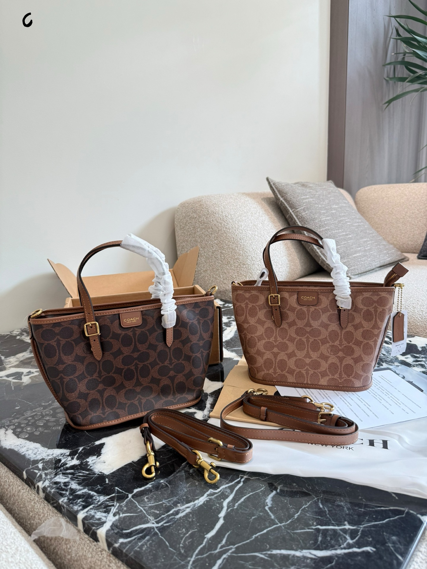 Coach Mini Tote Taxi 21: Bolso Cesta Moderno y Ligero, 21 cm