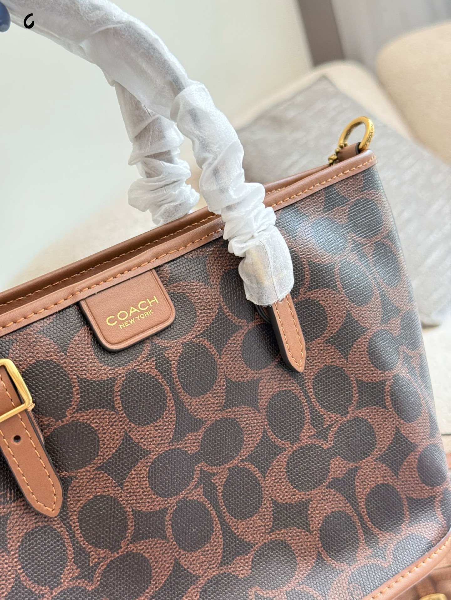 Coach Mini Tote Taxi 21: Bolso Cesta Moderno y Ligero, 21 cm 6 i1759221097718 3538 0 4